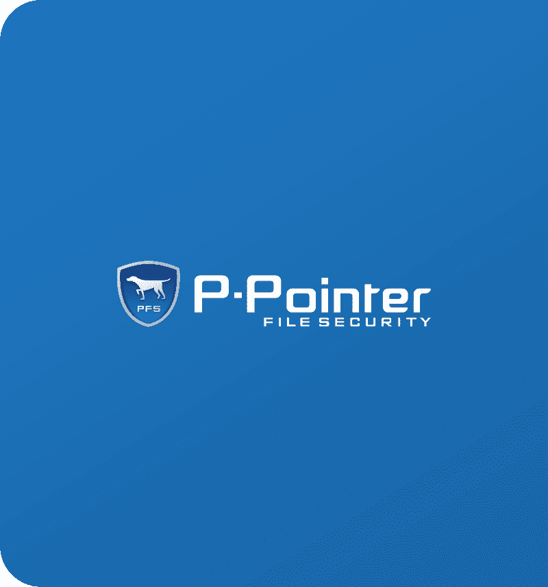 P-Pointer